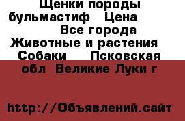 Щенки породы бульмастиф › Цена ­ 25 000 - Все города Животные и растения » Собаки   . Псковская обл.,Великие Луки г.